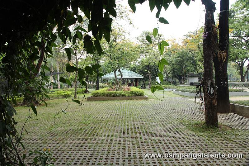 Tropical Trees Aound Flower garden in Overview of Landscape with Orchids Flower Accent in Quezon Memorial Circle in Quezon City.